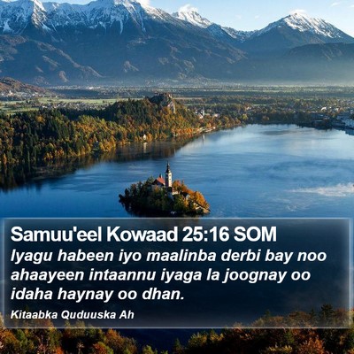 Samuu'eel Kowaad 25:16 SOM Bible Verse Image