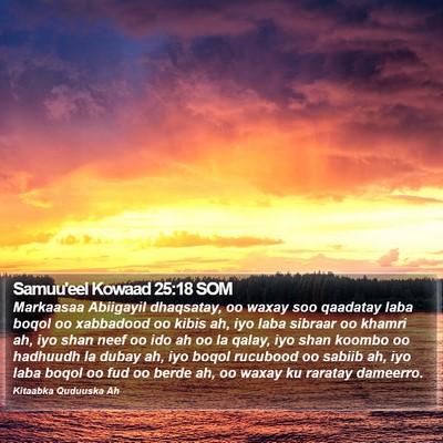 Samuu'eel Kowaad 25:18 SOM Bible Verse Image