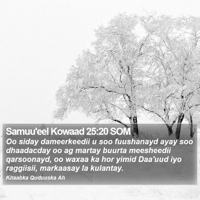 Samuu'eel Kowaad 25:20 SOM Bible Verse Image