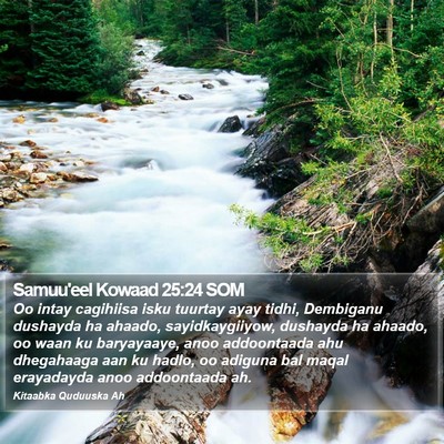 Samuu'eel Kowaad 25:24 SOM Bible Verse Image
