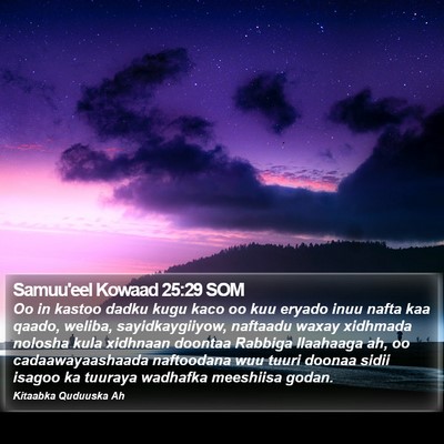 Samuu'eel Kowaad 25:29 SOM Bible Verse Image