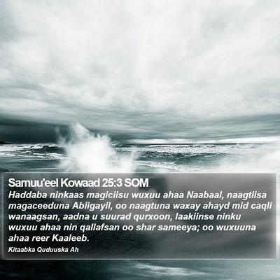 Samuu'eel Kowaad 25:3 SOM Bible Verse Image