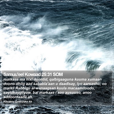 Samuu'eel Kowaad 25:31 SOM Bible Verse Image