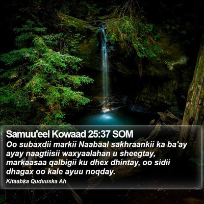 Samuu'eel Kowaad 25:37 SOM Bible Verse Image