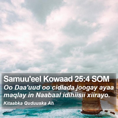 Samuu'eel Kowaad 25:4 SOM Bible Verse Image