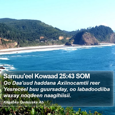 Samuu'eel Kowaad 25:43 SOM Bible Verse Image