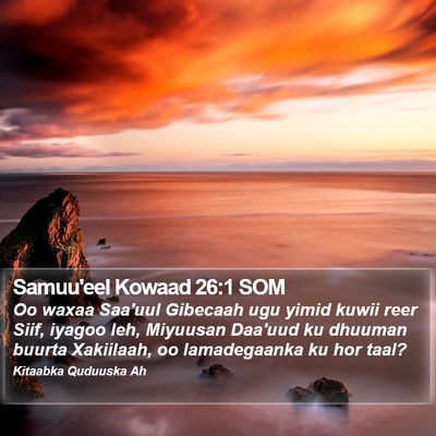 Samuu'eel Kowaad 26:1 SOM Bible Verse Image