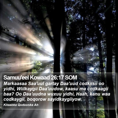 Samuu'eel Kowaad 26:17 SOM Bible Verse Image