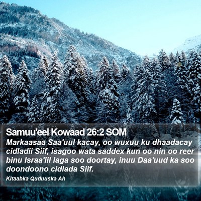 Samuu'eel Kowaad 26:2 SOM Bible Verse Image