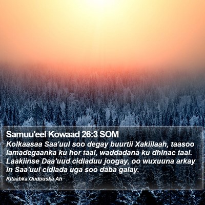 Samuu'eel Kowaad 26:3 SOM Bible Verse Image