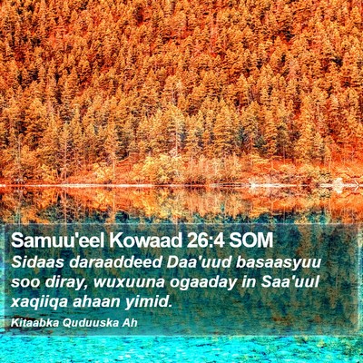 Samuu'eel Kowaad 26:4 SOM Bible Verse Image