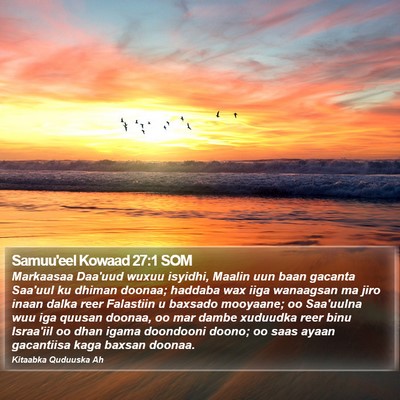 Samuu'eel Kowaad 27:1 SOM Bible Verse Image