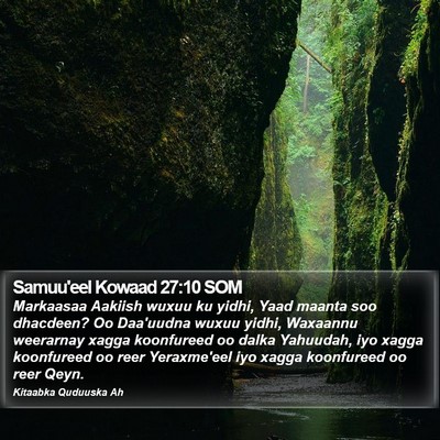 Samuu'eel Kowaad 27:10 SOM Bible Verse Image