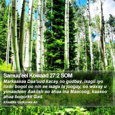Samuu'eel Kowaad 27:2 SOM Bible Verse Image