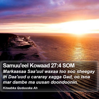 Samuu'eel Kowaad 27:4 SOM Bible Verse Image