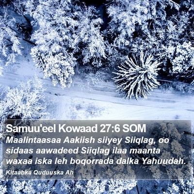 Samuu'eel Kowaad 27:6 SOM Bible Verse Image
