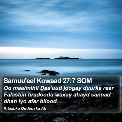 Samuu'eel Kowaad 27:7 SOM Bible Verse Image
