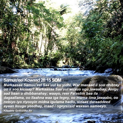 Samuu'eel Kowaad 28:15 SOM Bible Verse Image