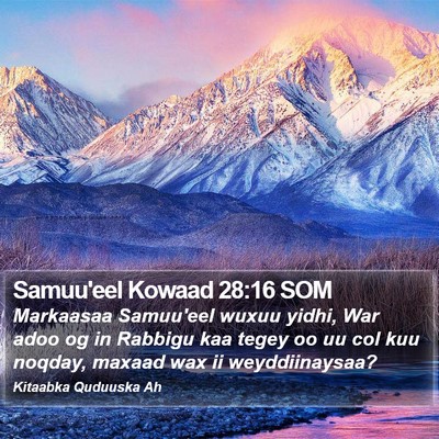 Samuu'eel Kowaad 28:16 SOM Bible Verse Image