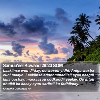 Samuu'eel Kowaad 28:23 SOM Bible Verse Image