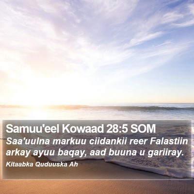 Samuu'eel Kowaad 28:5 SOM Bible Verse Image