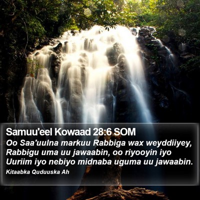 Samuu'eel Kowaad 28:6 SOM Bible Verse Image