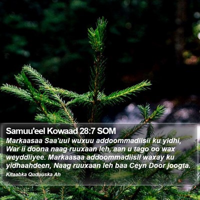 Samuu'eel Kowaad 28:7 SOM Bible Verse Image