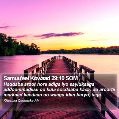 Samuu'eel Kowaad 29:10 SOM Bible Verse Image