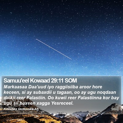 Samuu'eel Kowaad 29:11 SOM Bible Verse Image