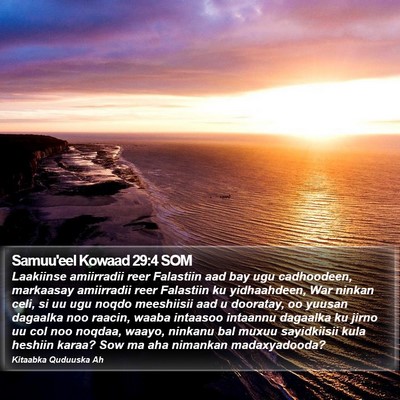 Samuu'eel Kowaad 29:4 SOM Bible Verse Image