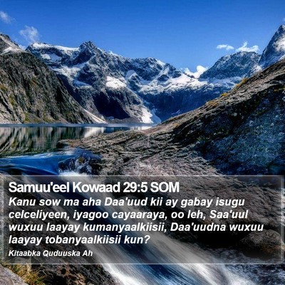 Samuu'eel Kowaad 29:5 SOM Bible Verse Image