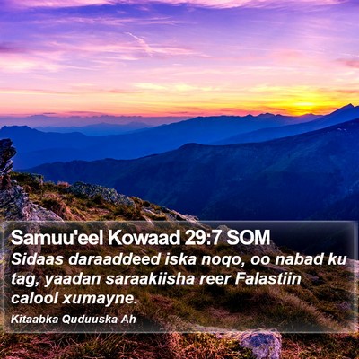 Samuu'eel Kowaad 29:7 SOM Bible Verse Image