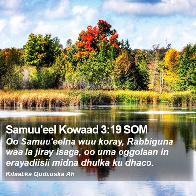 Samuu'eel Kowaad 3:19 SOM Bible Verse Image