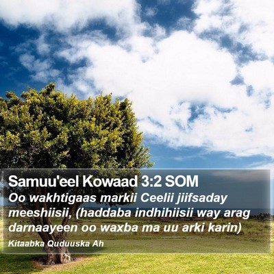 Samuu'eel Kowaad 3:2 SOM Bible Verse Image