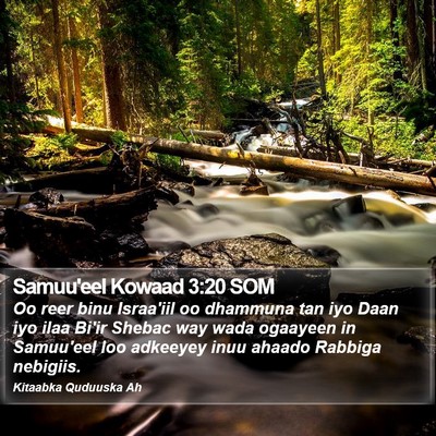 Samuu'eel Kowaad 3:20 SOM Bible Verse Image