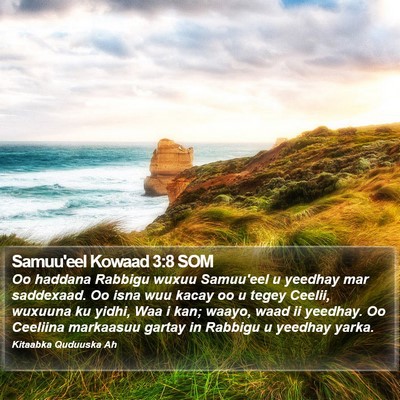 Samuu'eel Kowaad 3:8 SOM Bible Verse Image