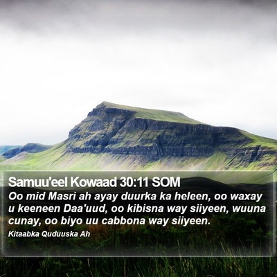 Samuu'eel Kowaad 30:11 SOM Bible Verse Image
