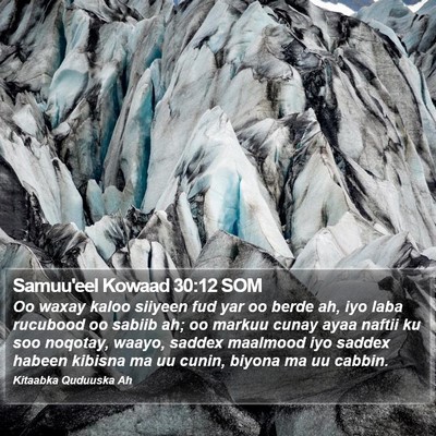 Samuu'eel Kowaad 30:12 SOM Bible Verse Image