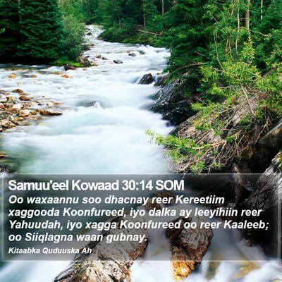 Samuu'eel Kowaad 30:14 SOM Bible Verse Image