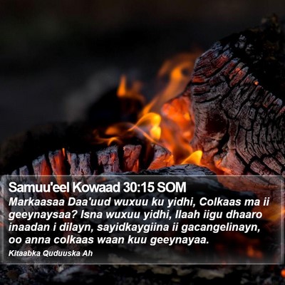 Samuu'eel Kowaad 30:15 SOM Bible Verse Image