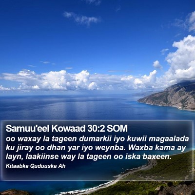 Samuu'eel Kowaad 30:2 SOM Bible Verse Image