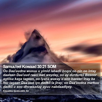 Samuu'eel Kowaad 30:21 SOM Bible Verse Image