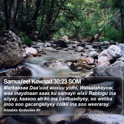 Samuu'eel Kowaad 30:23 SOM Bible Verse Image