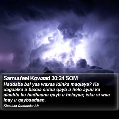 Samuu'eel Kowaad 30:24 SOM Bible Verse Image