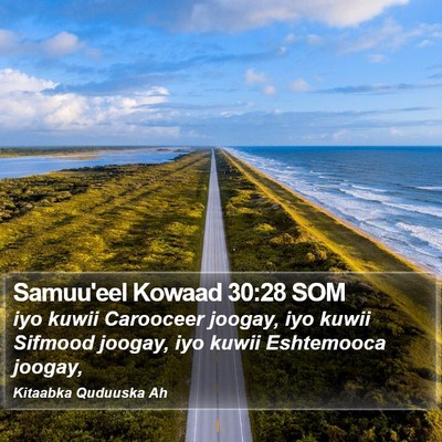 Samuu'eel Kowaad 30:28 SOM Bible Verse Image