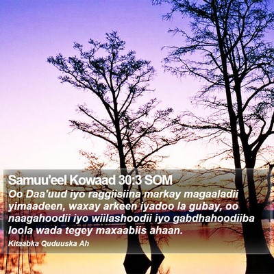 Samuu'eel Kowaad 30:3 SOM Bible Verse Image