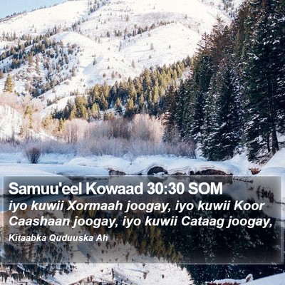 Samuu'eel Kowaad 30:30 SOM Bible Verse Image