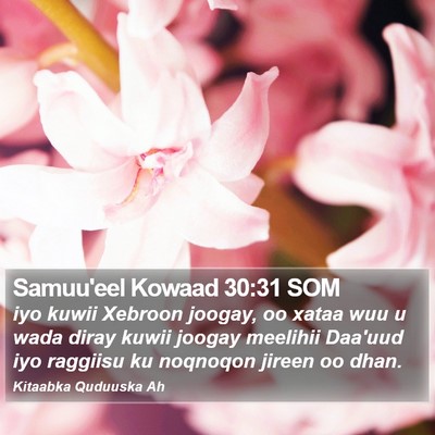 Samuu'eel Kowaad 30:31 SOM Bible Verse Image
