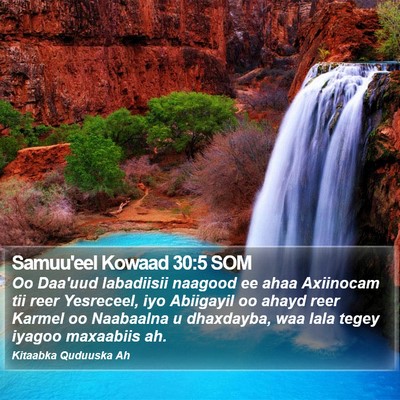 Samuu'eel Kowaad 30:5 SOM Bible Verse Image