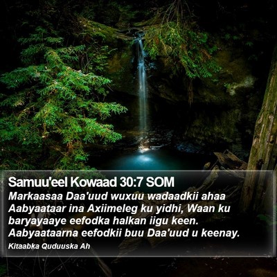 Samuu'eel Kowaad 30:7 SOM Bible Verse Image